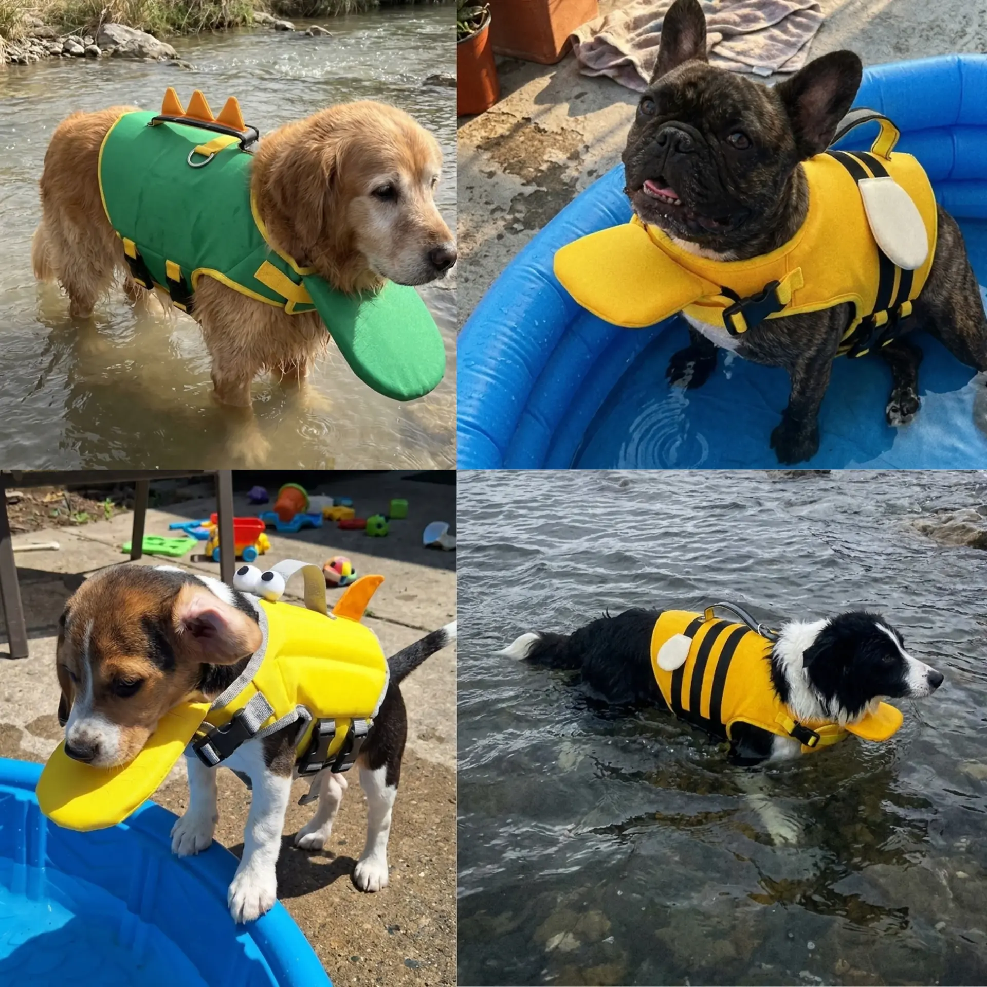 Collage di cani che indossano il Salvagente Floovi ape e dinosauro tra fiume e piscina