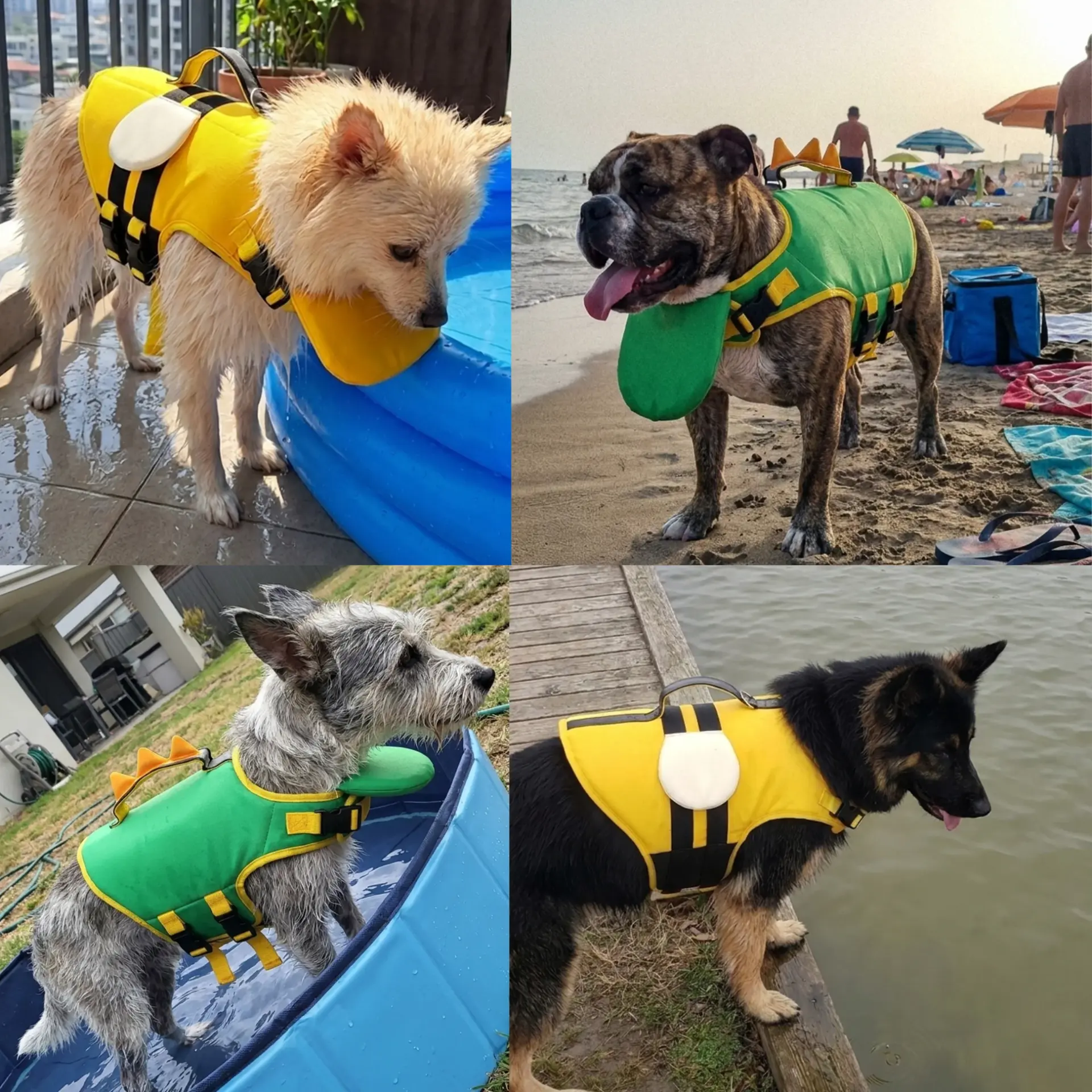 Collage di cani di taglie diverse con il Salvagente Floovi in spiaggia e in piscina